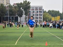 跟注一定更稳？（跟注真的更稳妥吗？）