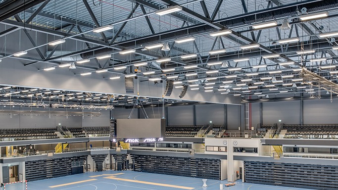 神经科学：解析“奖励信号钝化”导致的风险升级。（神经科学解读：奖励信号钝化如何加剧风险倾向）